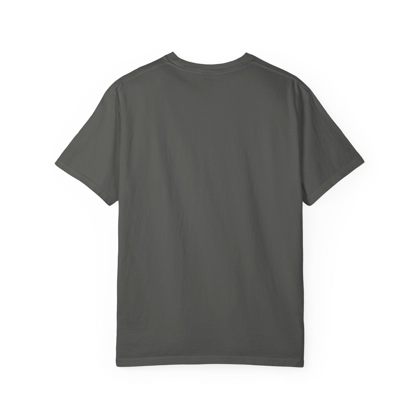 250 Year America Celebration T-Shirt