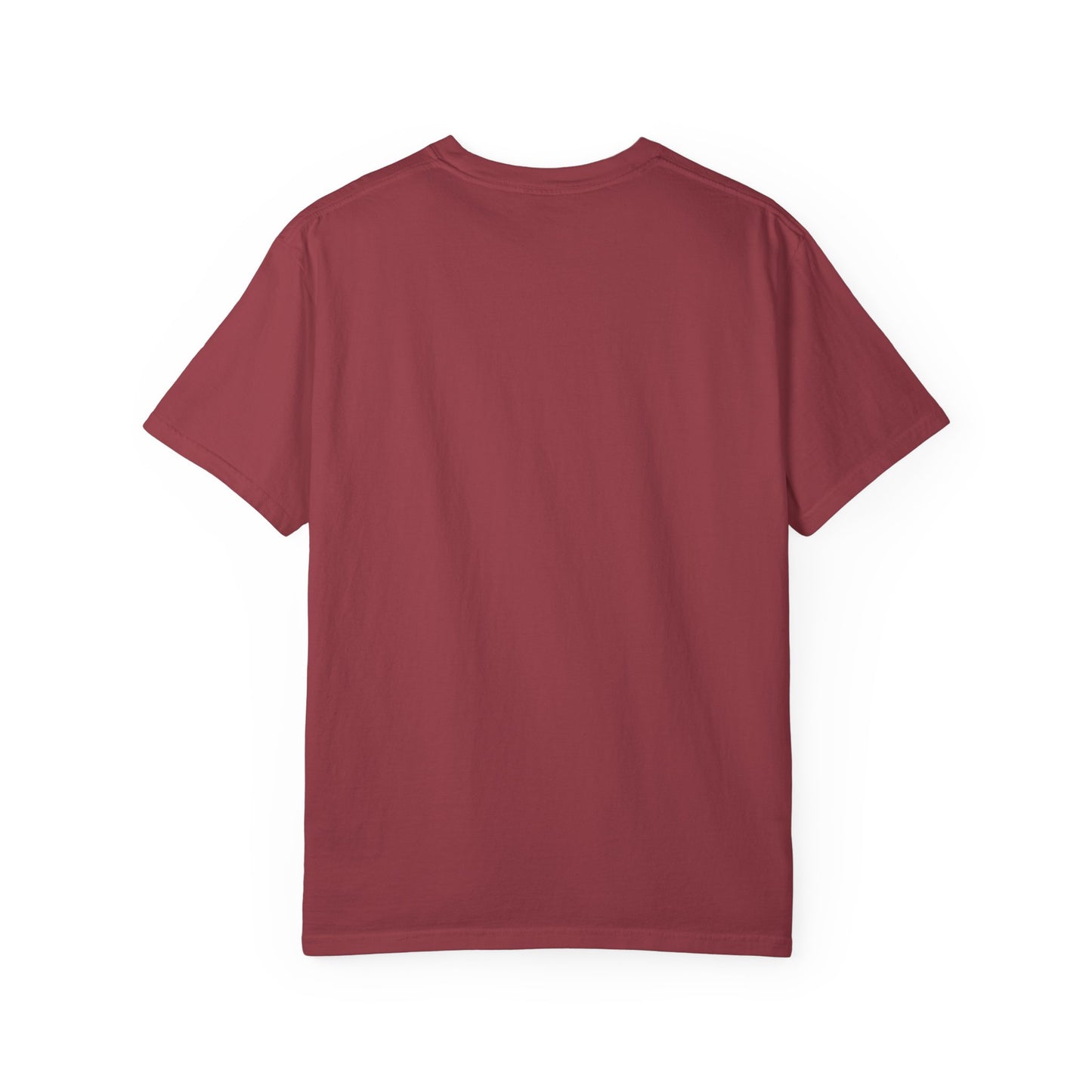 250 Year America Celebration T-Shirt