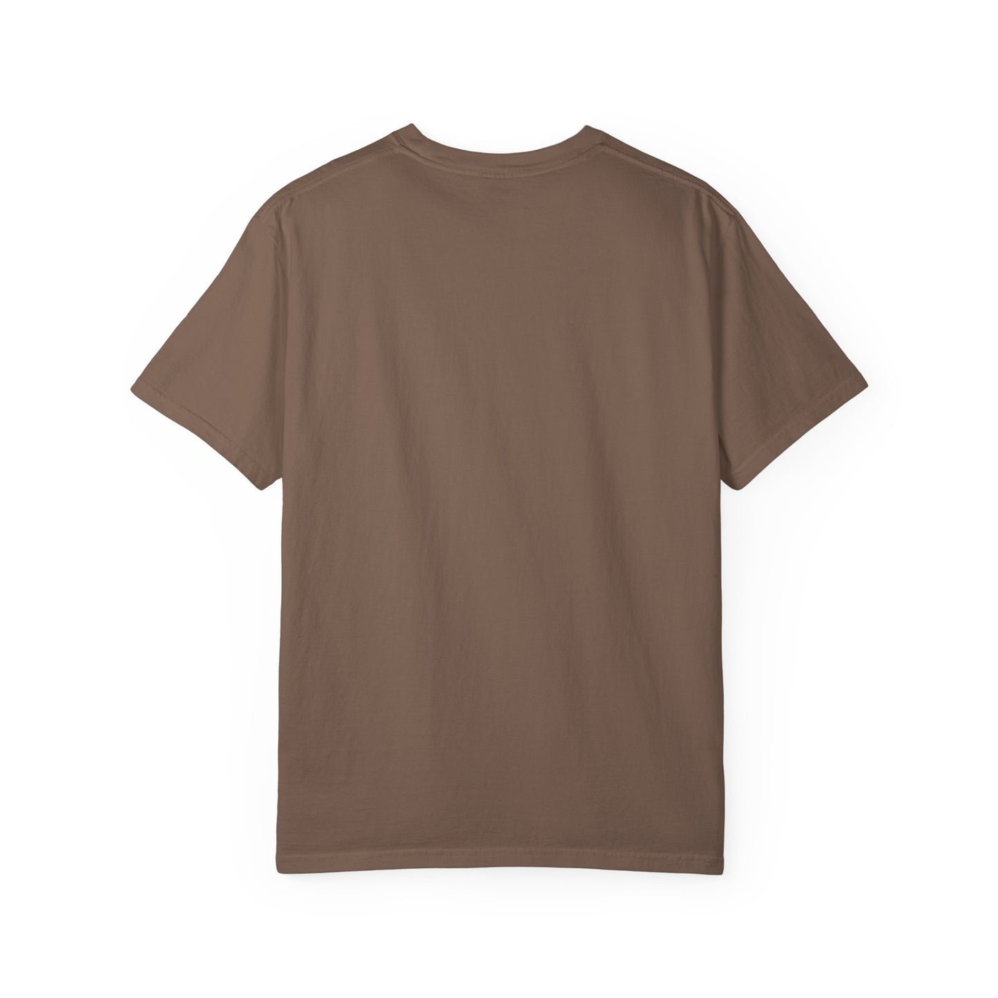 250 Year America Celebration T-Shirt