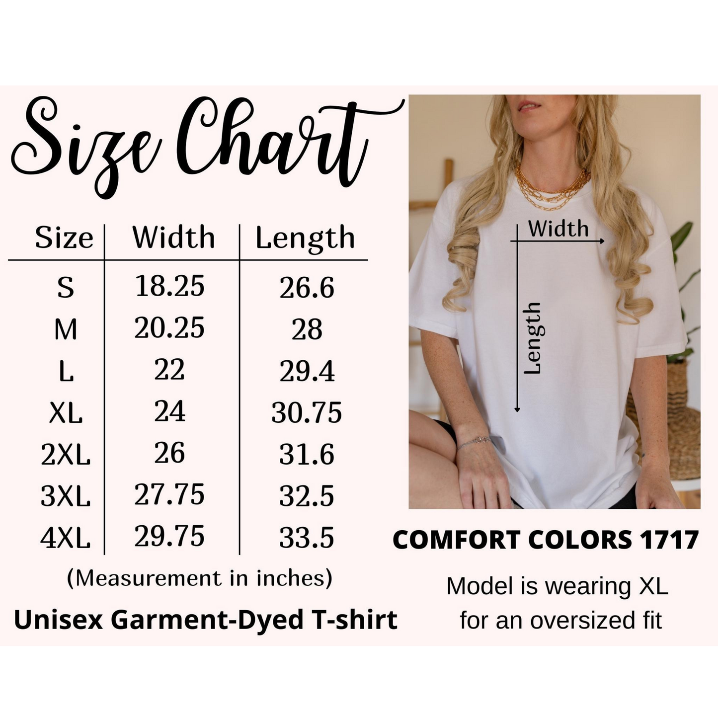 Comfort Colors 1717 Purveyor of Mayhem Frog Wizard Bike Tee