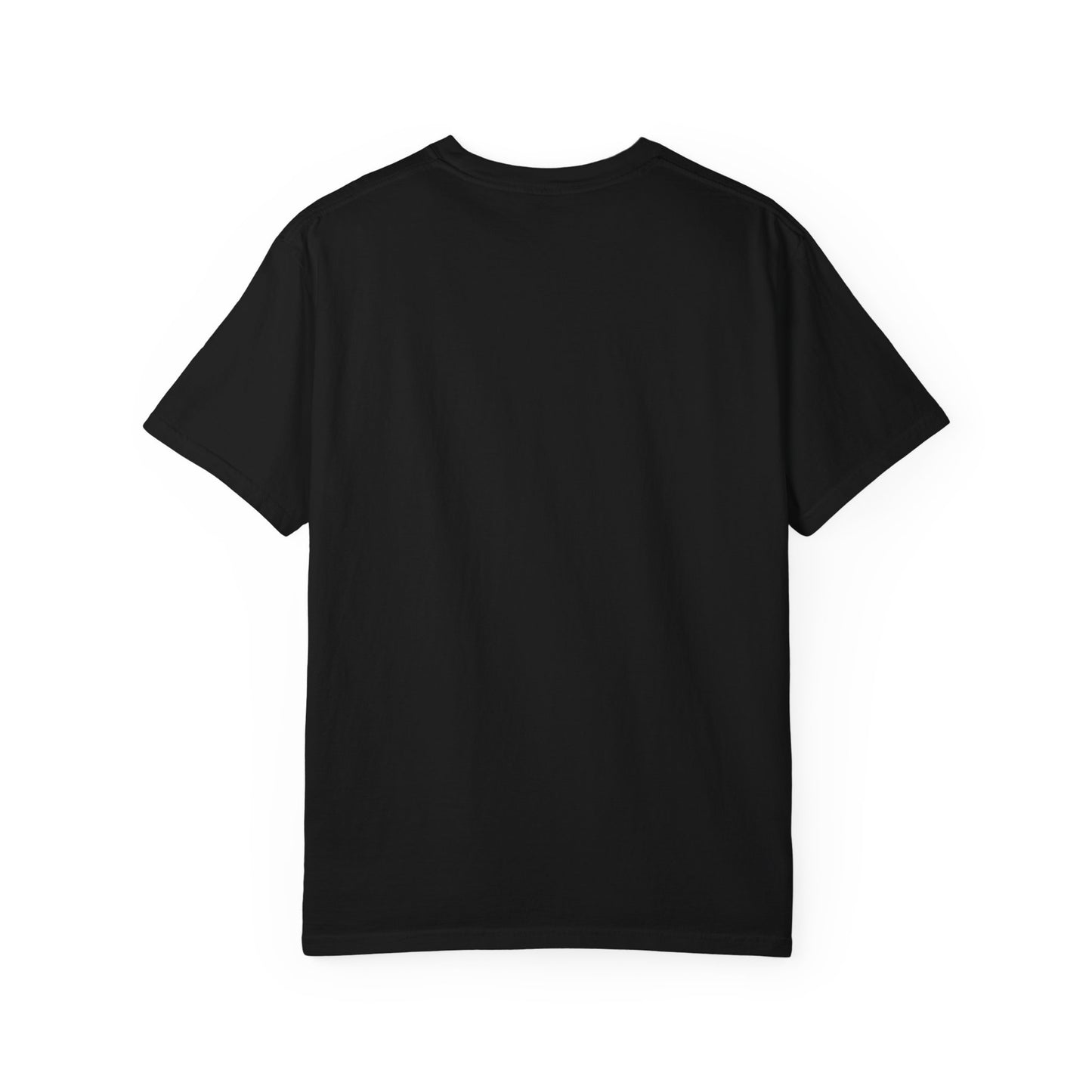 250 Year America Celebration T-Shirt